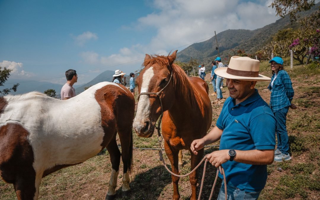 coaching-asistido-por-caballos-kognitiv-coaching-3