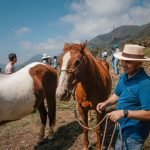 coaching-asistido-por-caballos-kognitiv-coaching-3